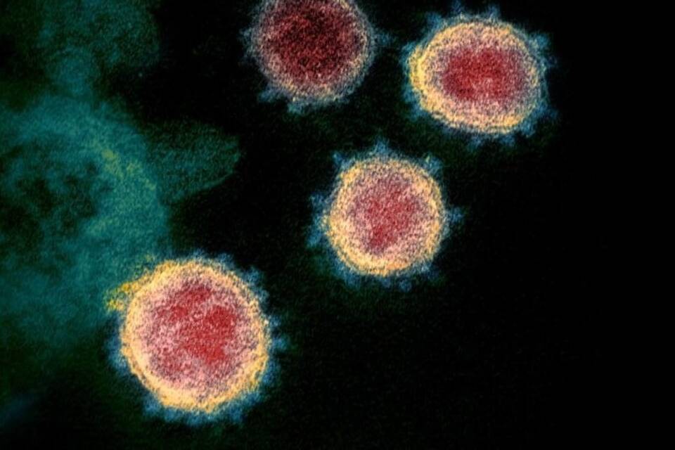 Coronavirus