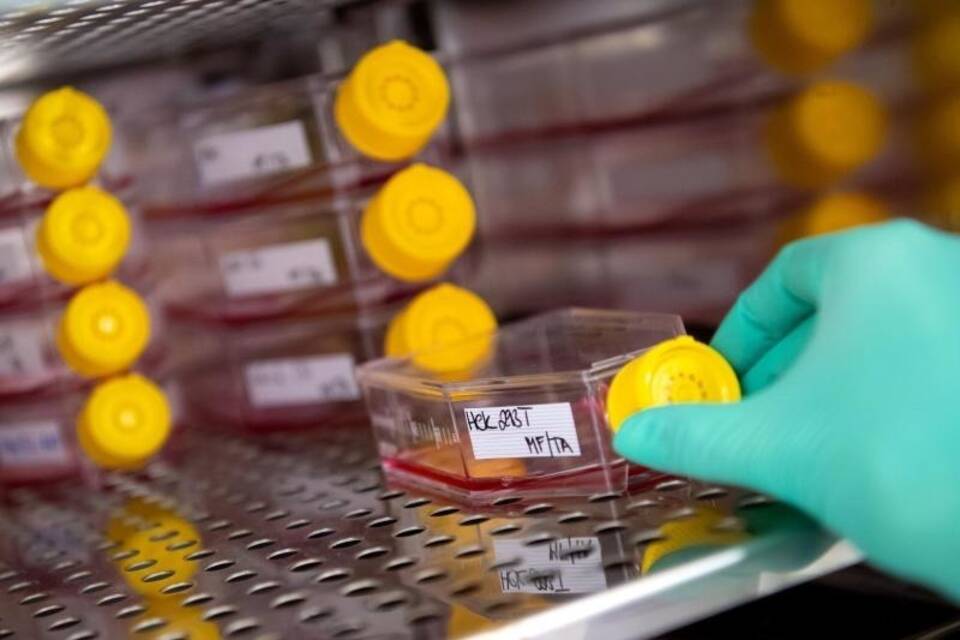 Coronavirus - Institut für Virologie Coronavirus - Institut für Virologie