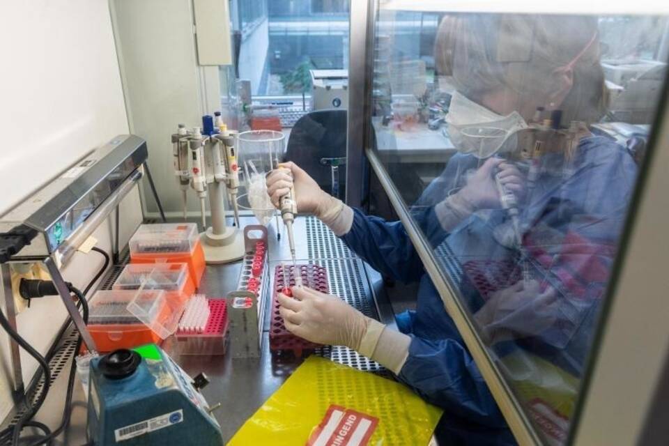 Labortest Labortest