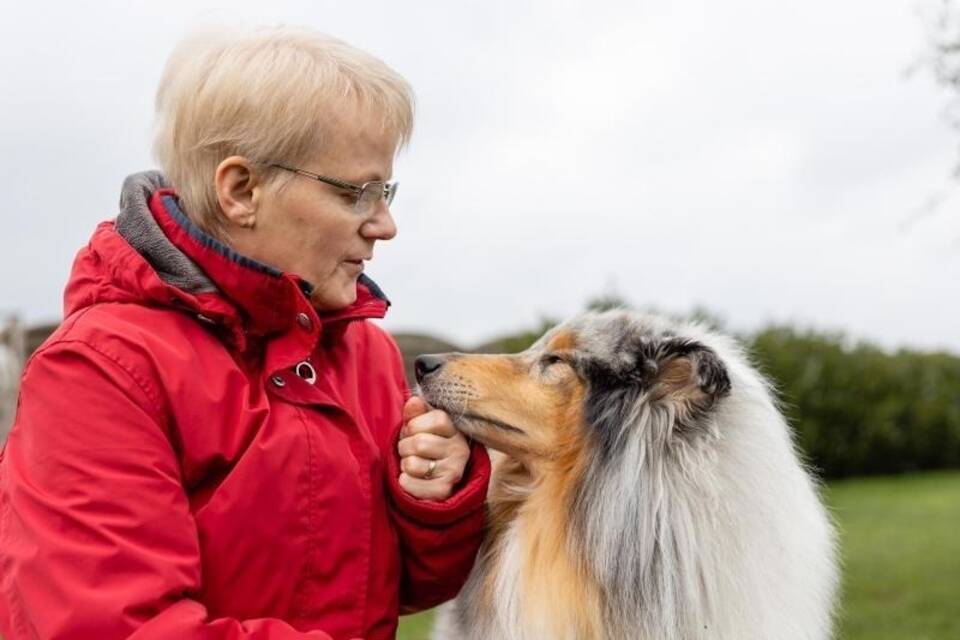 KINA - Ein Hund wie Lassie braucht viel Pflege