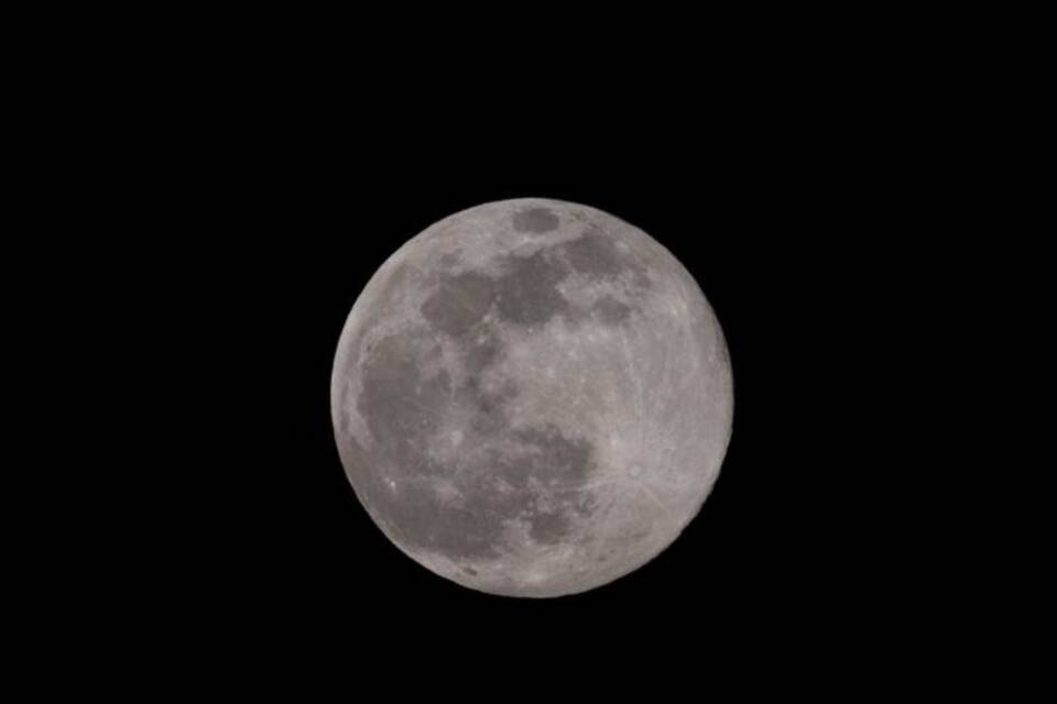 Der Vollmond Der Vollmond