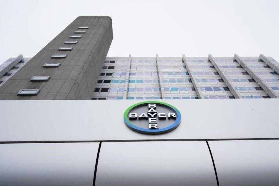 Bayer Bayer