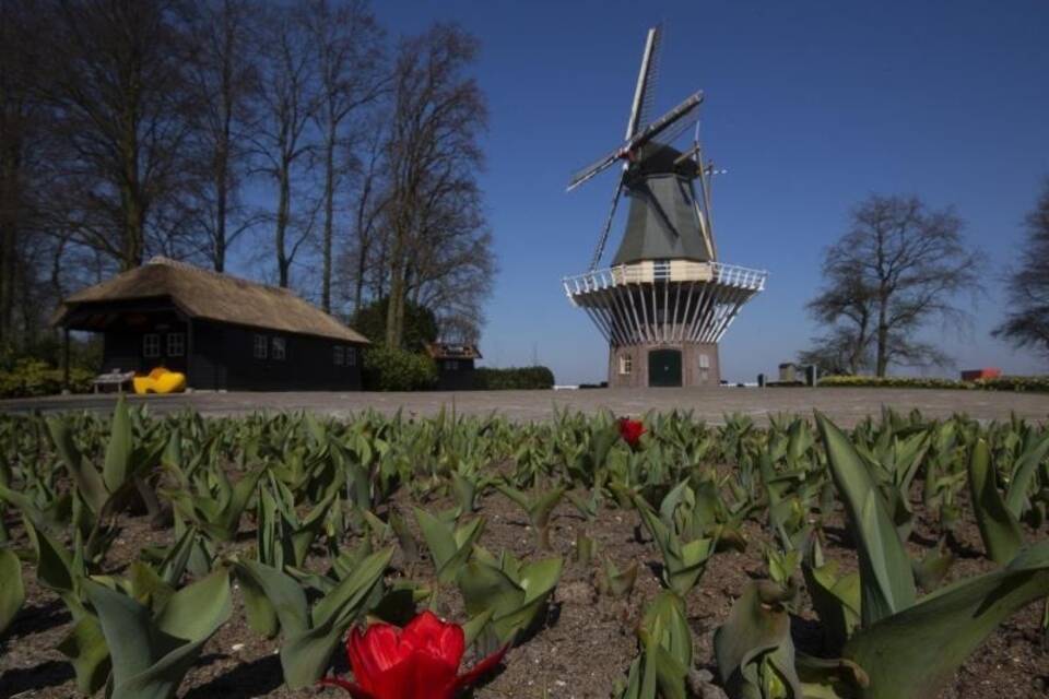 Blumenhandel Blumenhandel
