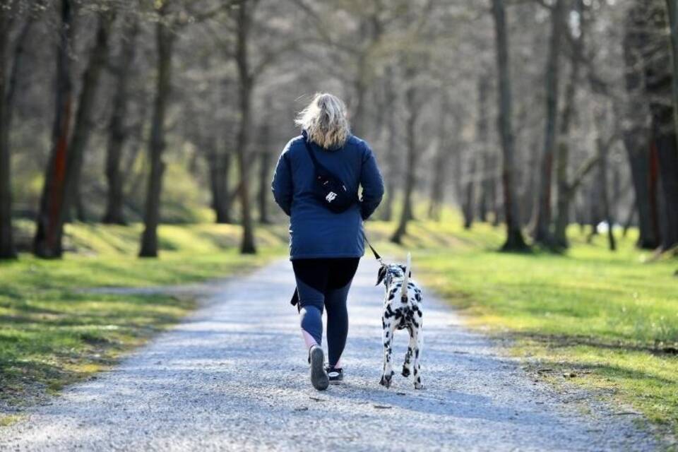 Spaziergang Spaziergang