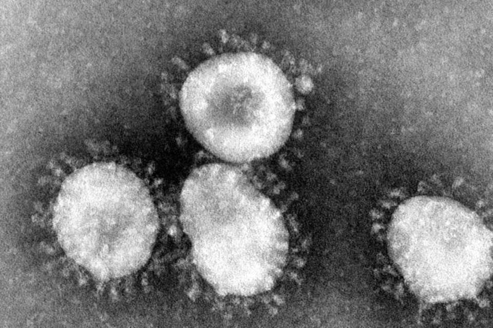 Coronavirus Coronavirus