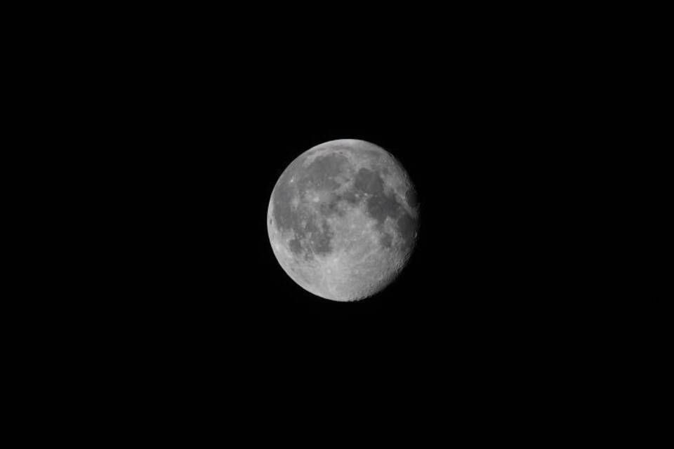 Mond Mond
