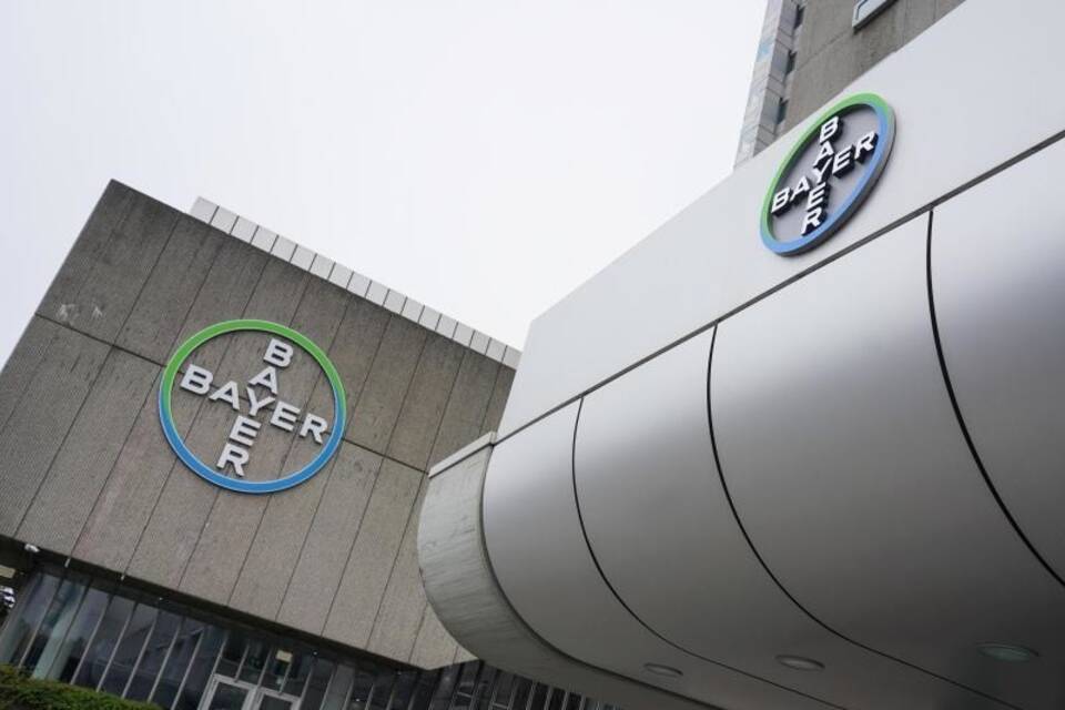 Bayer Bayer