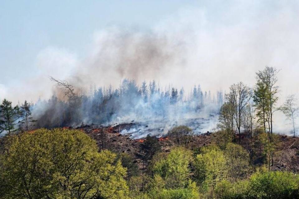 Waldbrand Waldbrand