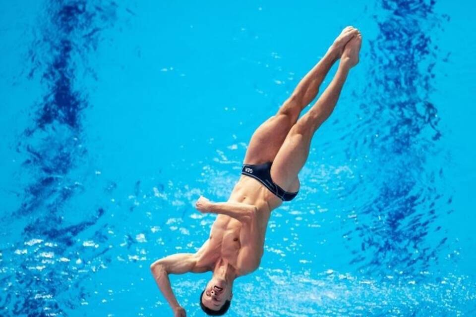 Wasserspringer Wasserspringer