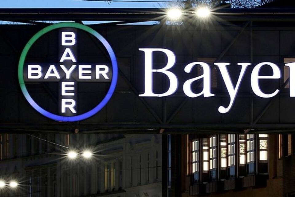 Bayer Bayer