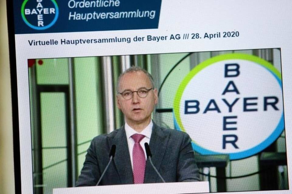 Bayer Bayer