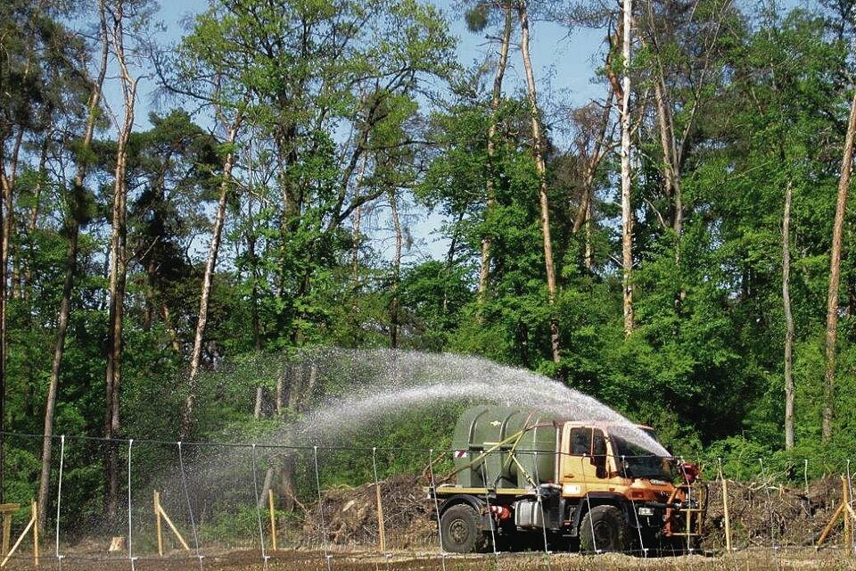 Gießaktion im Reilinger Wald: Trockenheit gefährdet 3500 junge Bäumchen