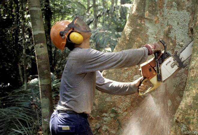 Sas Projekt Mit Daten Gegen Die Abholzung Des Regenwaldes Wirtschaft Regional Rnz