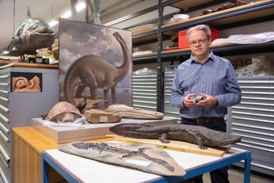 Urzeitsalamander Urzeitsalamander