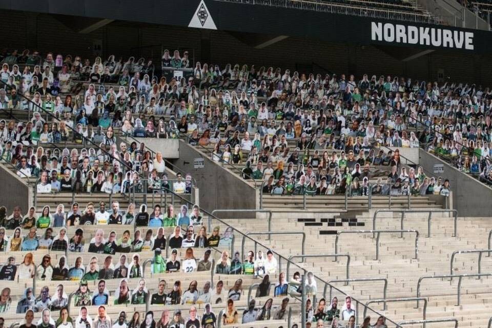 Pappkameraden Pappkameraden