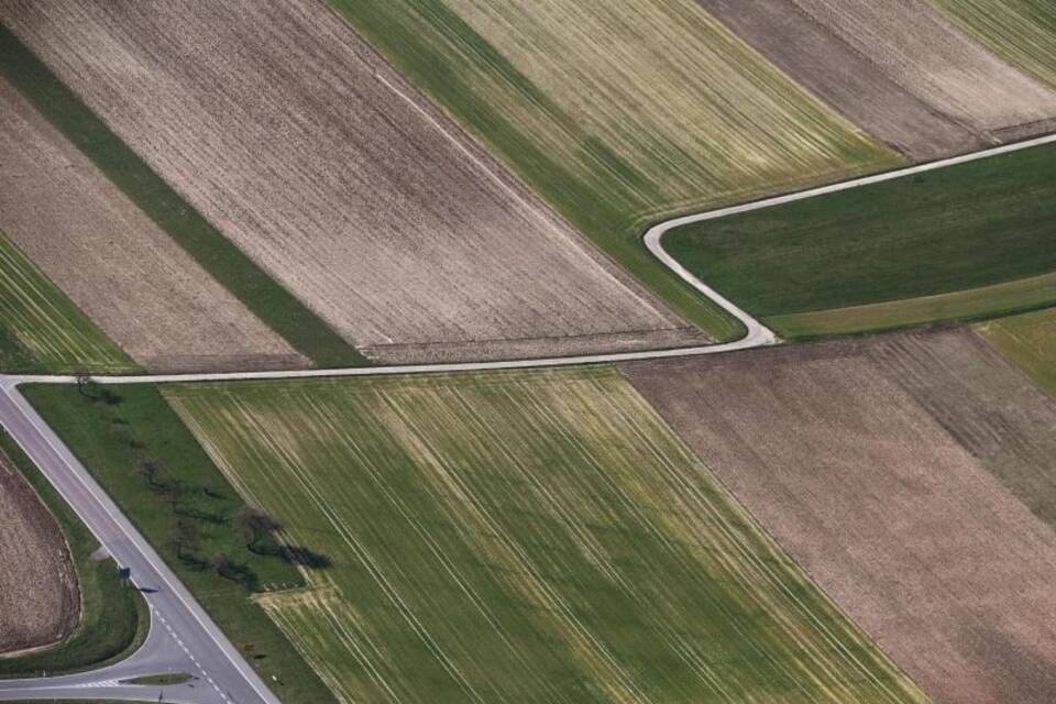 Bericht zur Lage der Natur