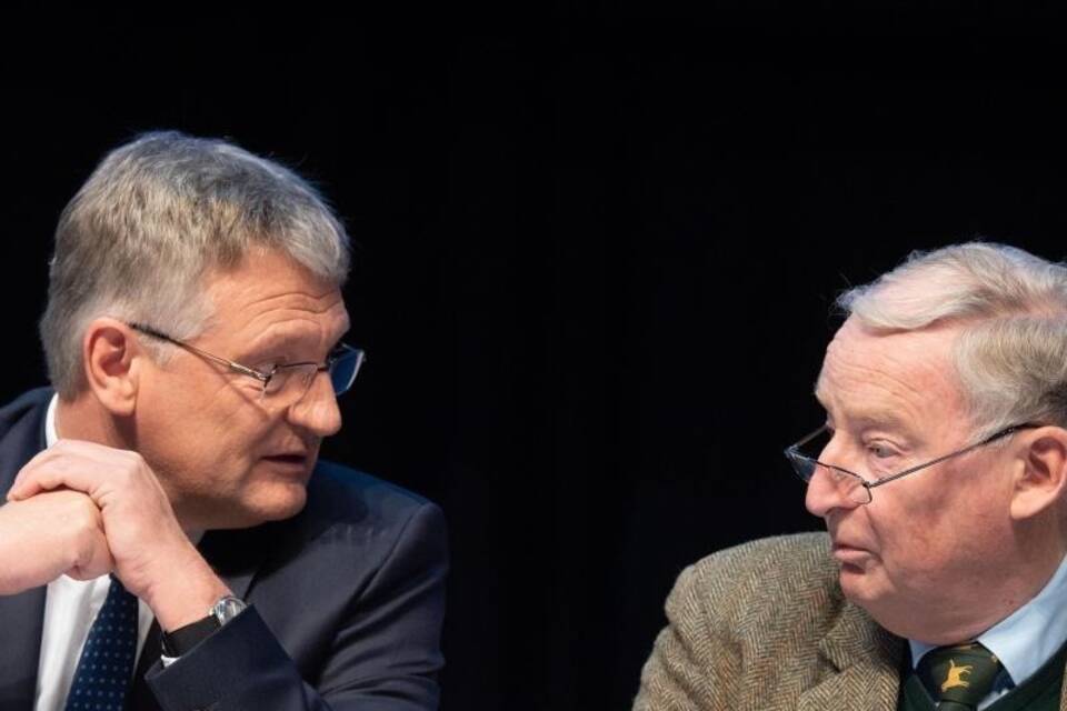 Meuthen und Gauland