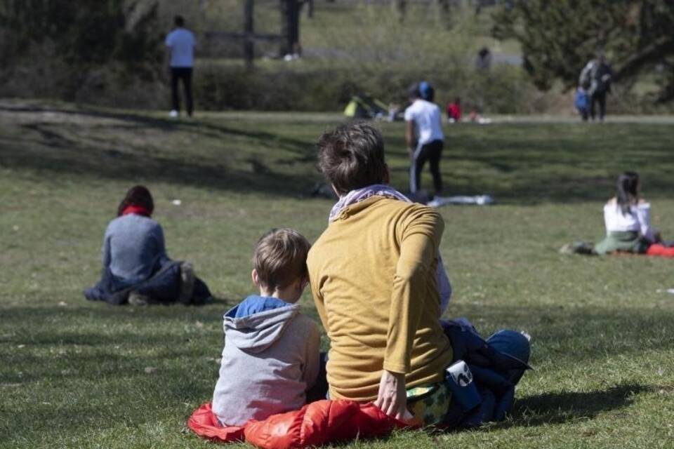 Park Park