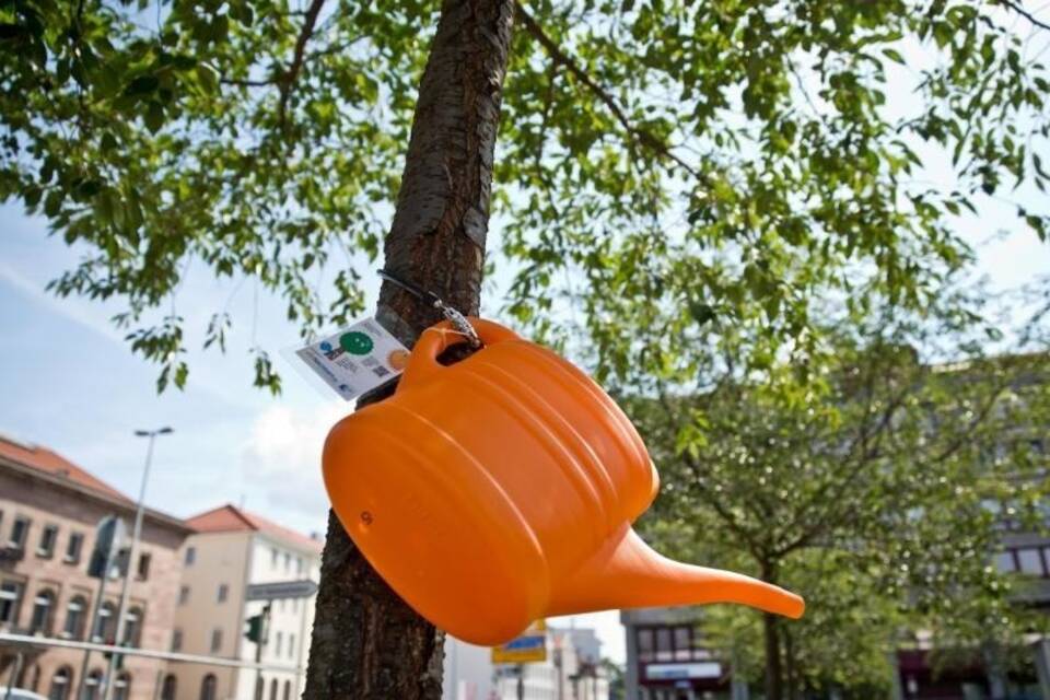 Gießkanne Gießkanne