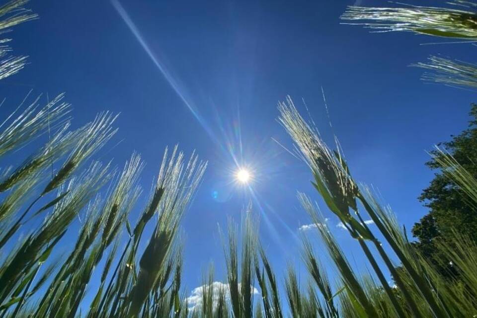 Sonnenschrein Sonnenschrein