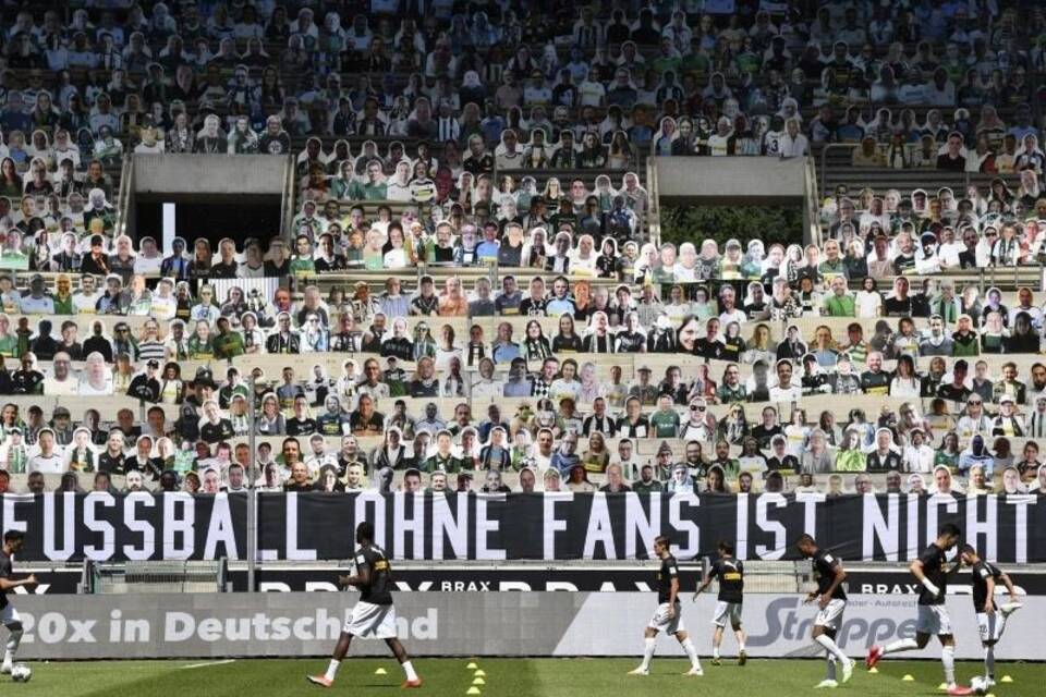 Papp-Fans Papp-Fans
