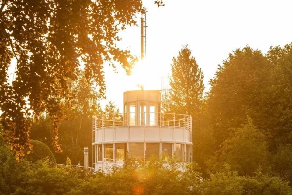 Lingen Lingen