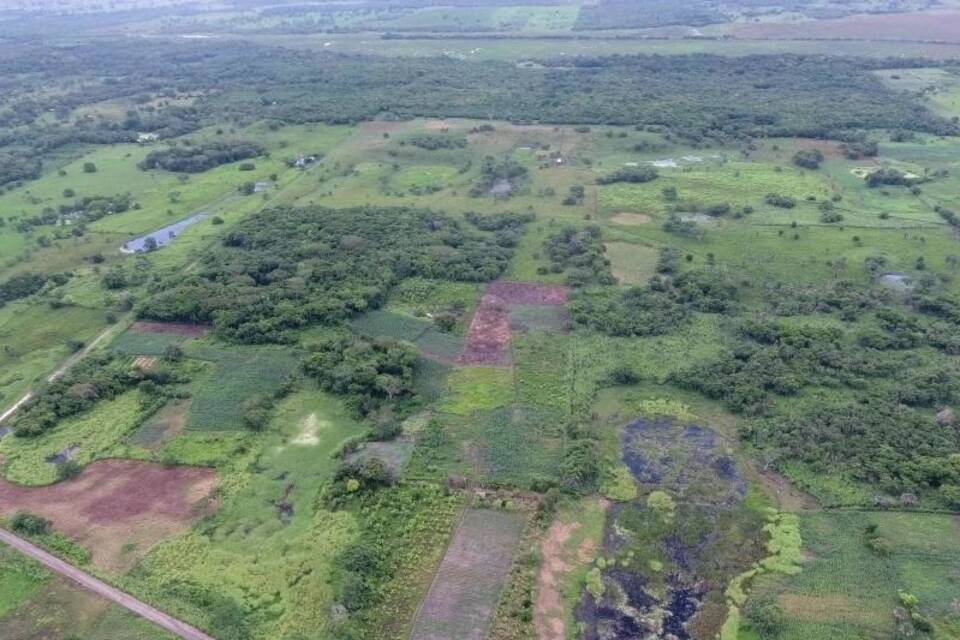 Monumentalanlage der Maya entdeckt