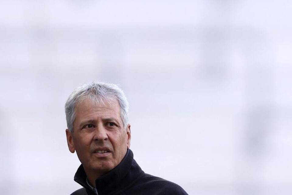BVB-Coach BVB-Coach