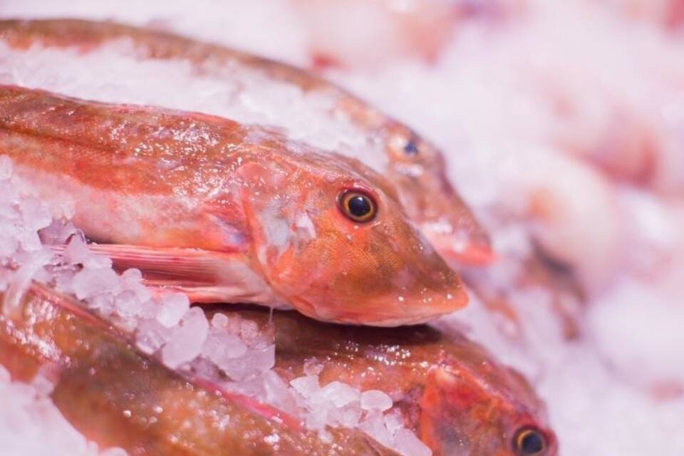 Fischkonsum Fischkonsum