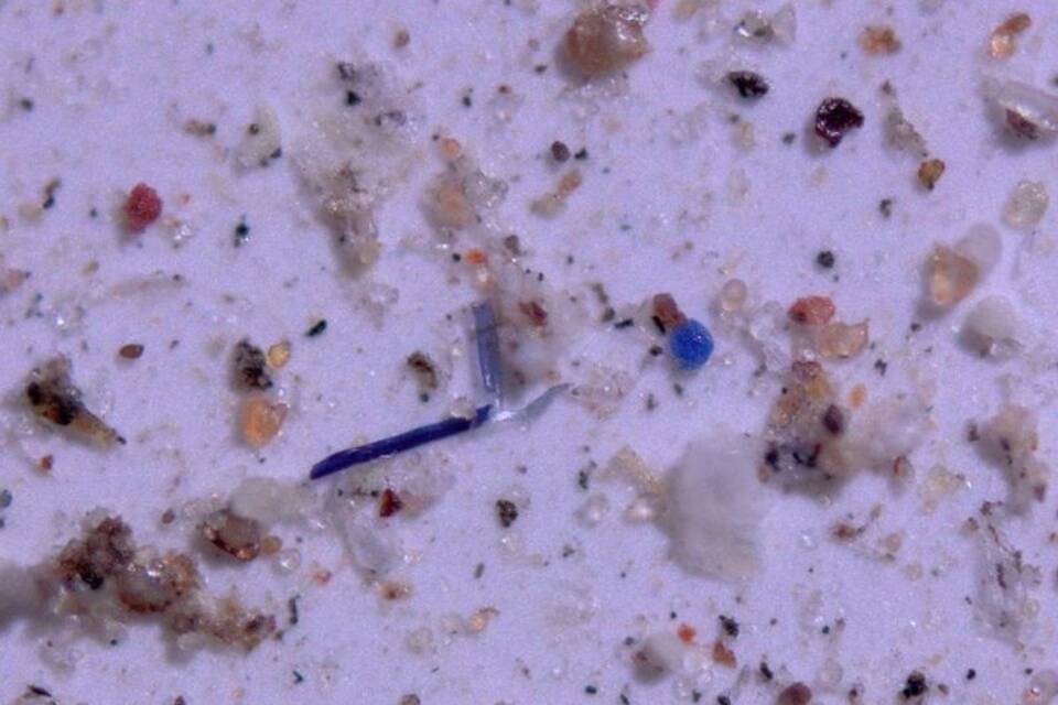 Mikroplastik Mikroplastik