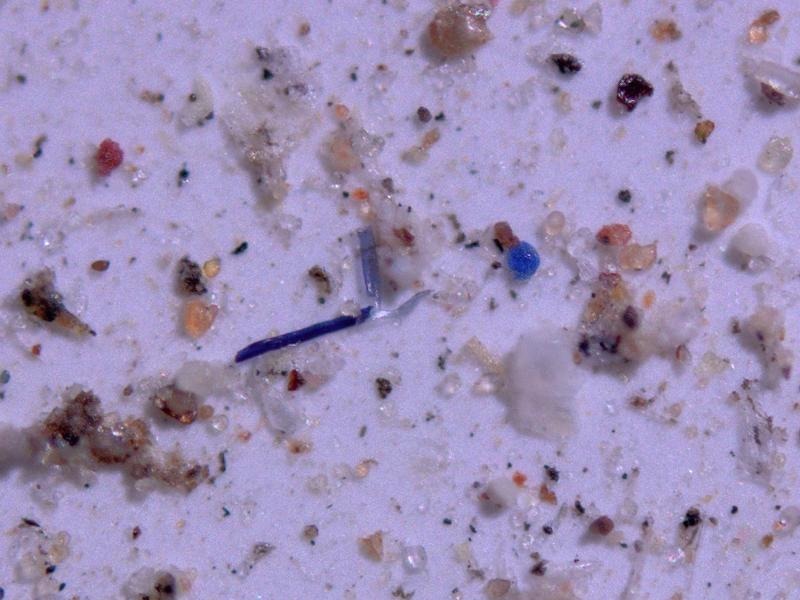 Deutlich mehr, als vermutet: US-Nationalparks: Forscher finden große Mengen Mikroplastik ...