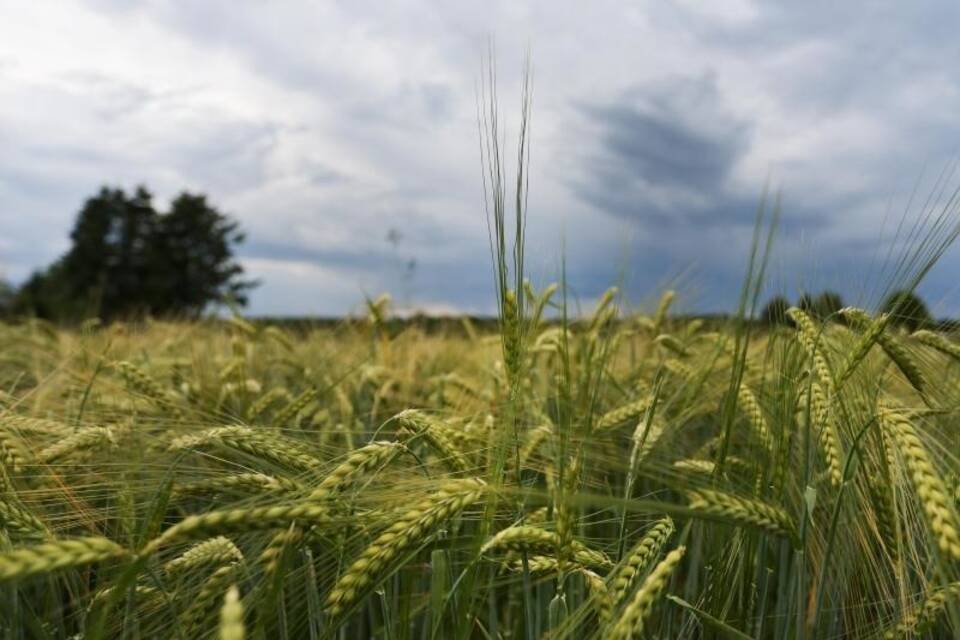 Gewitter erwartet Gewitter erwartet