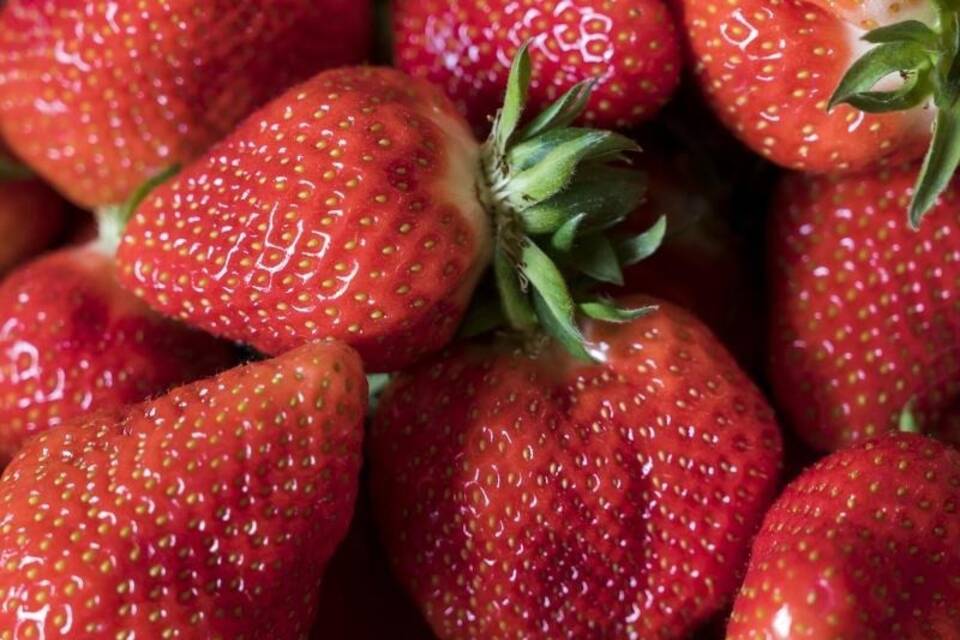 Erdbeeren Erdbeeren