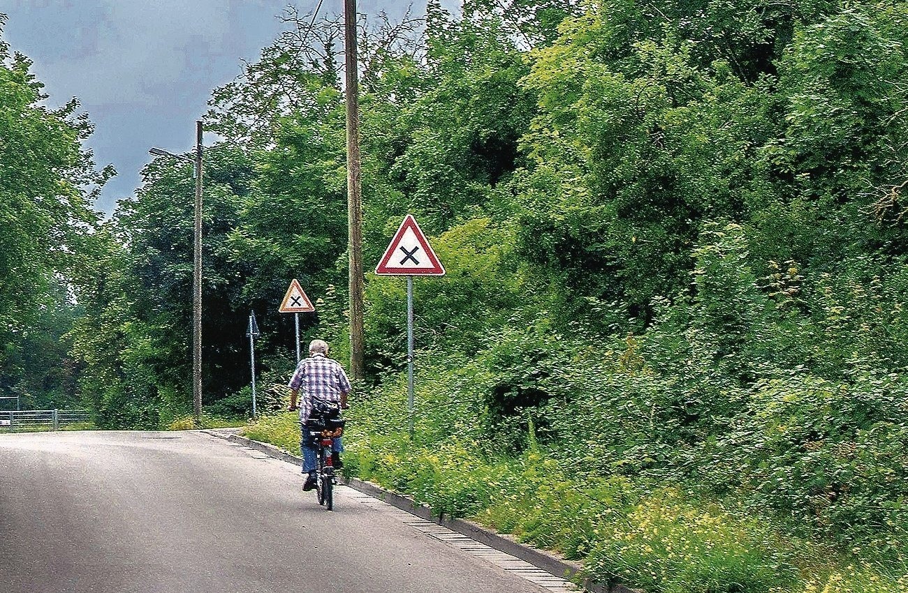 Eppelheim Der Bahndamm wird versteigert Nachrichten