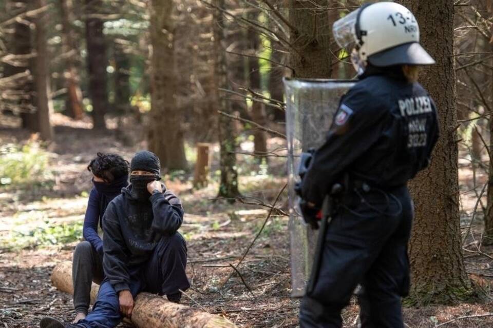 Hambacher Forst