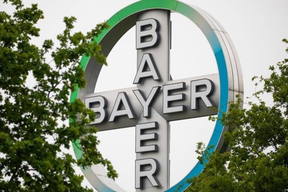 Bayer Bayer