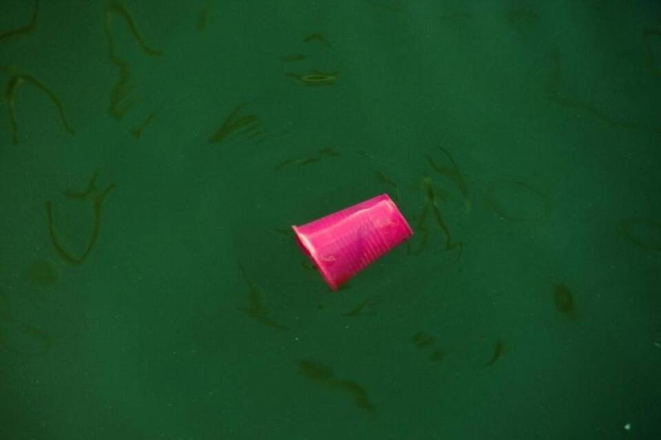 Müll im Meer Müll im Meer