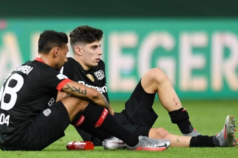 Bayer-Frust Bayer-Frust