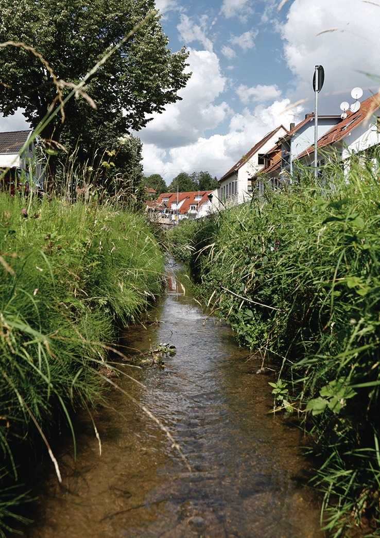 Stadt wiesloch singler