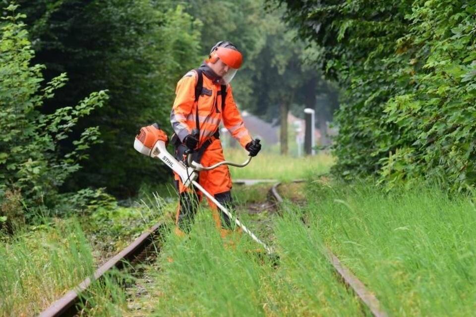 Grasmähen zwischen Gleisen