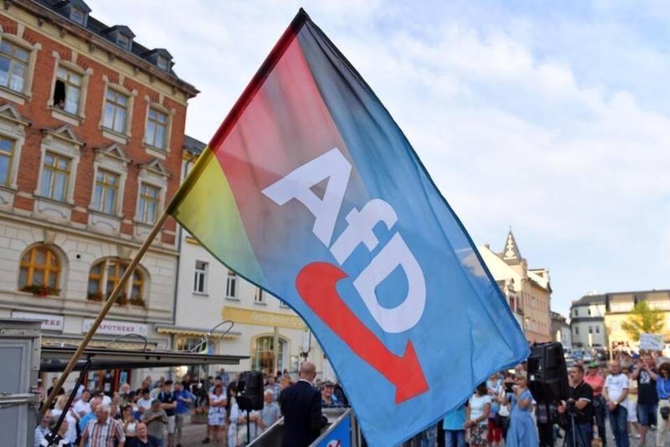 AfD und der Verfassungsschutz AfD und der Verfassungsschutz