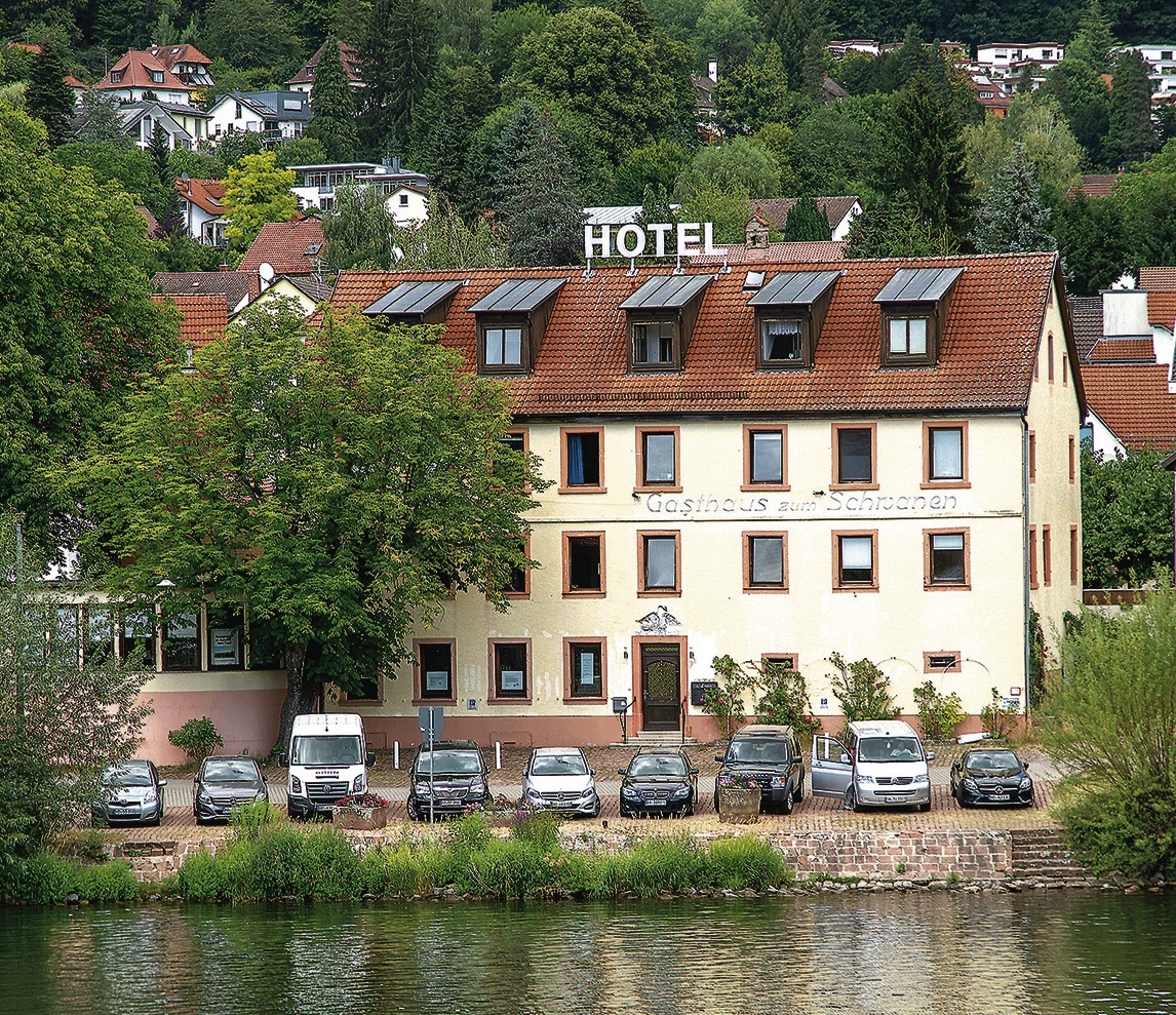 Schwanen Kino Programm Schwanen Kino Programm