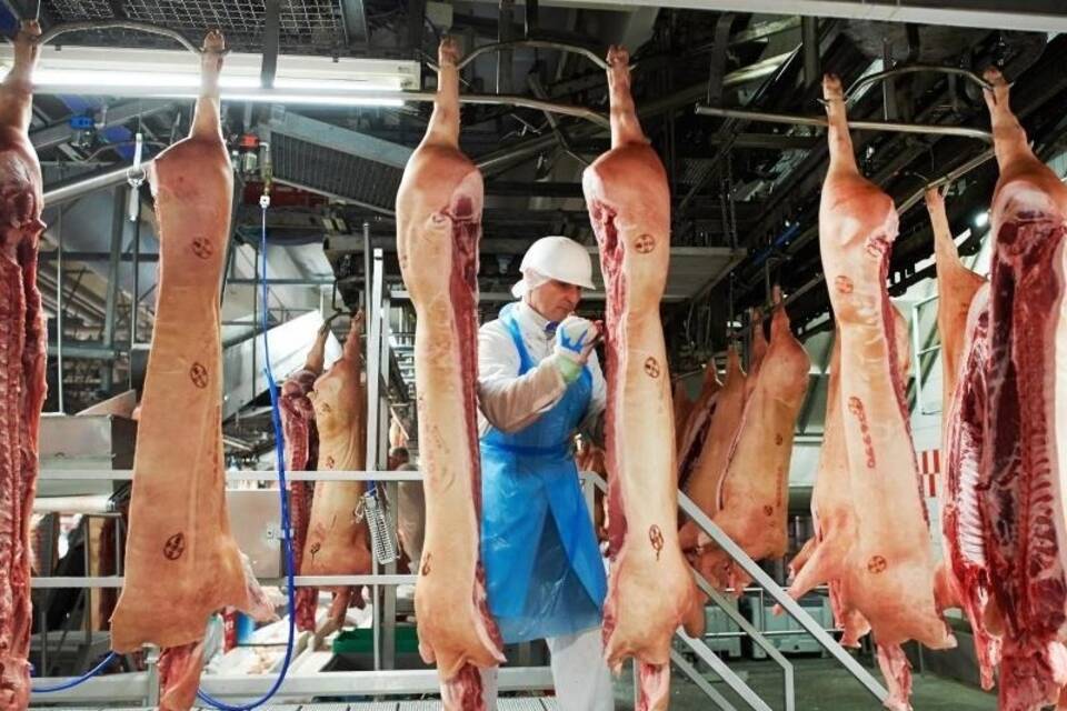 Tönnies darf wieder schlachten Tönnies darf wieder schlachten