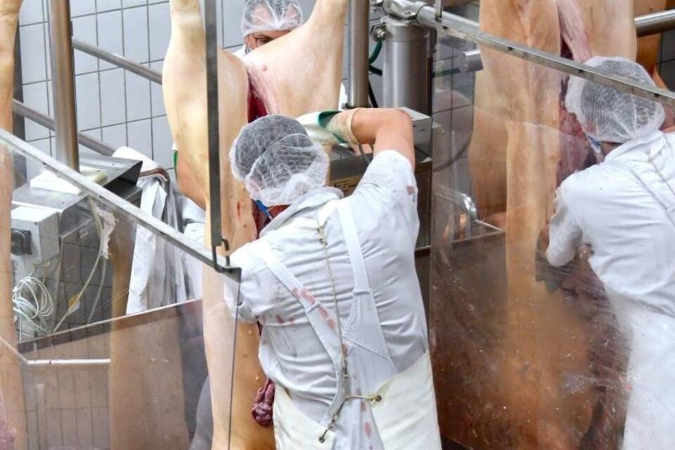 Tönnies Stammwerk Tönnies Stammwerk