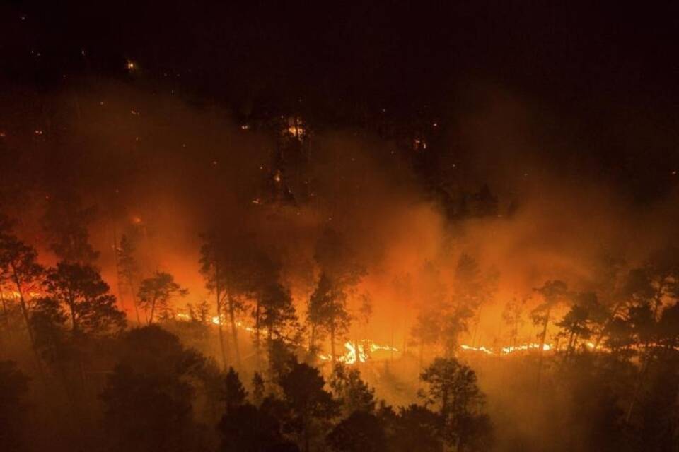 Waldbrand Waldbrand