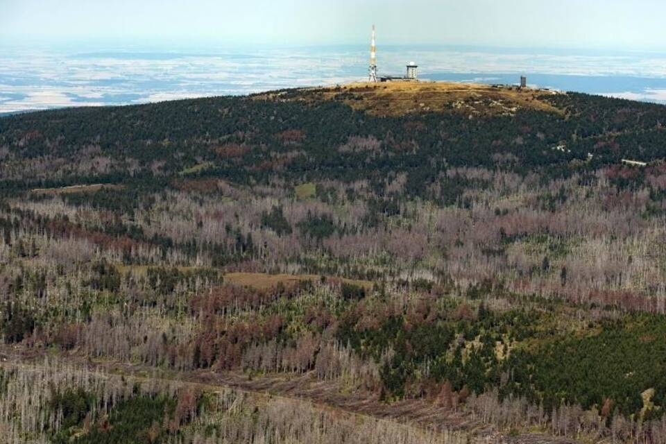 Wälder in Niedersachsen