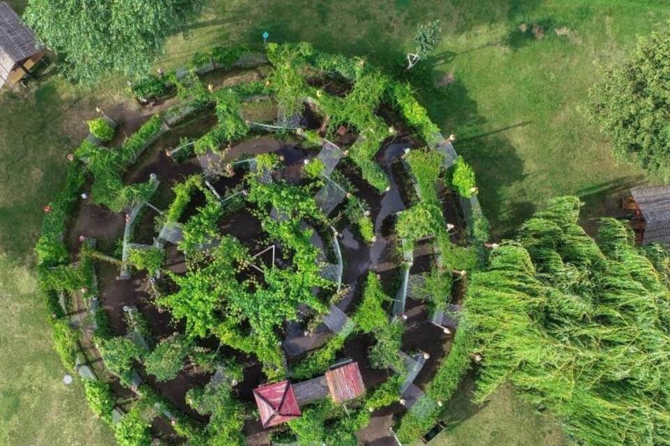 Labyrinth Labyrinth