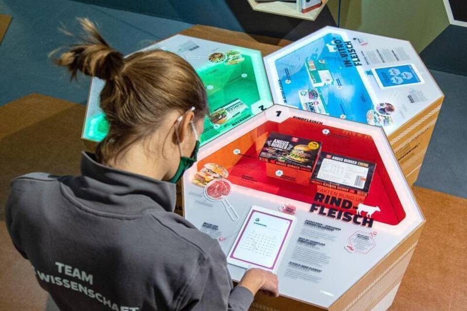 MS Wissenschaft MS Wissenschaft