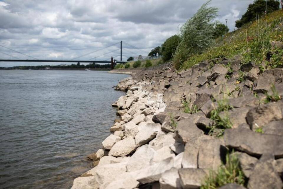 Niedrige Wasserstände am Rhein