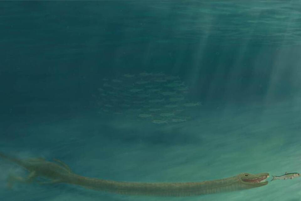 Tanystropheus